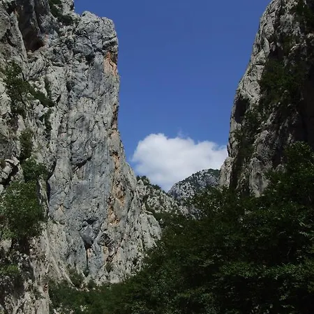 Nino * Starigrad Paklenica
